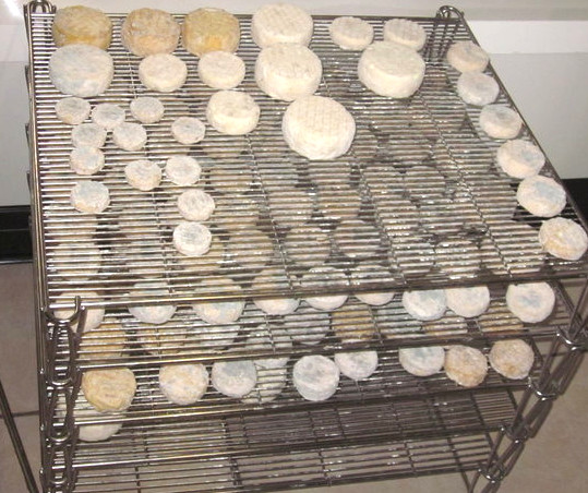 Les fromages en cours d'affinage